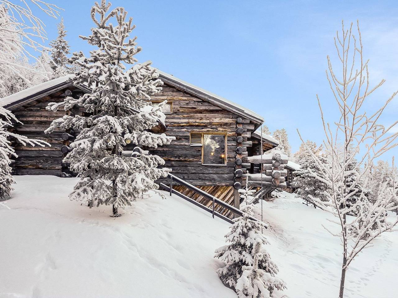 Sallanhelmi c1 in Sallatunturi, Lappland