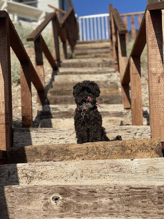 Luxury Waterfront Lakehouse with Stunning Lake & Mountain Views! in Lake Havasu City, Mohave County