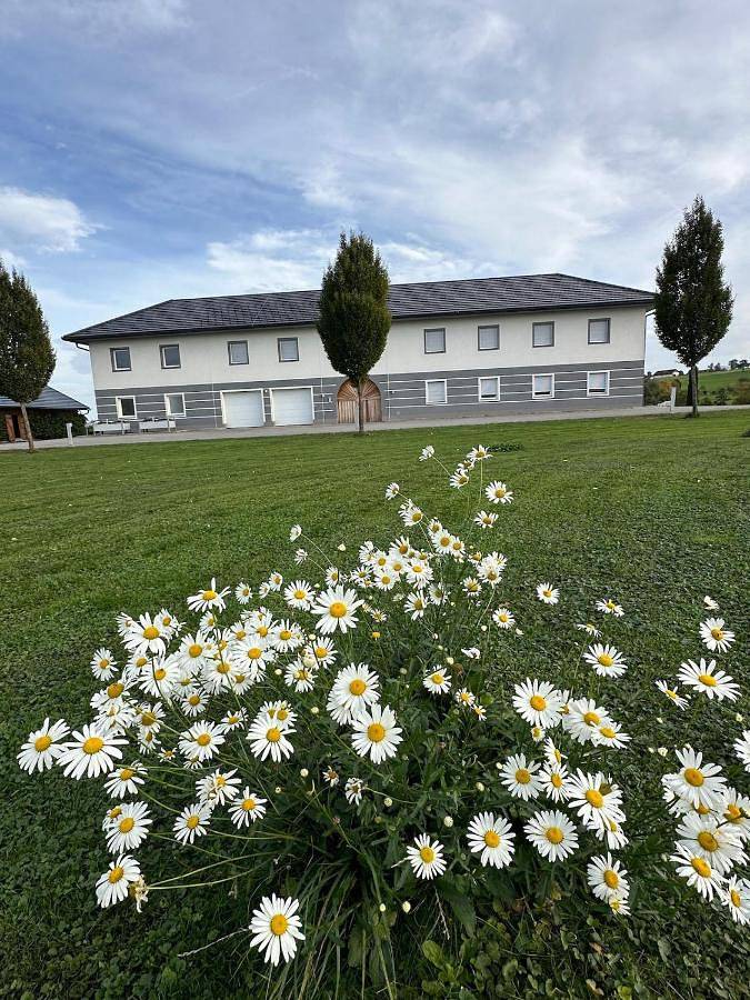 Ferienwohnung für 6 Personen, mit Pool und Garten sowie Ausblick, mit Haustier