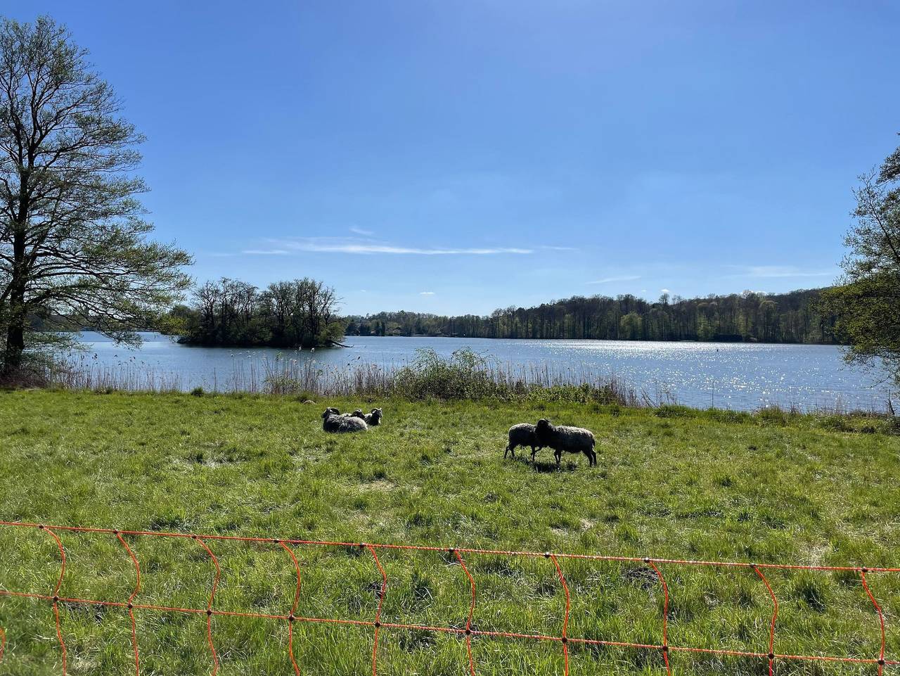 Ganze Ferienwohnung, Ferienhaus am Mümmelbrook in Feldberg - Ferienwohnung in Feldberger Seenlandschaft, Mecklenburg-Strelitz
