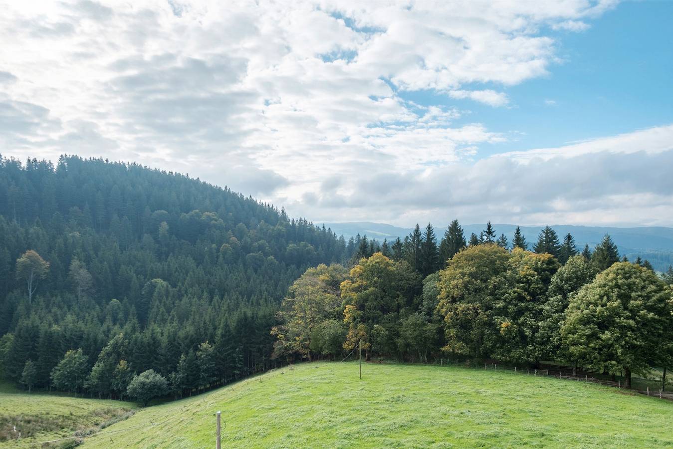 Ganze Wohnung, Ferienwohnung 'St Märgen, 55qm' mit Gemeinschaftsgarten, Balkon und Wi-Fi in St. Peter, Südschwarzwald