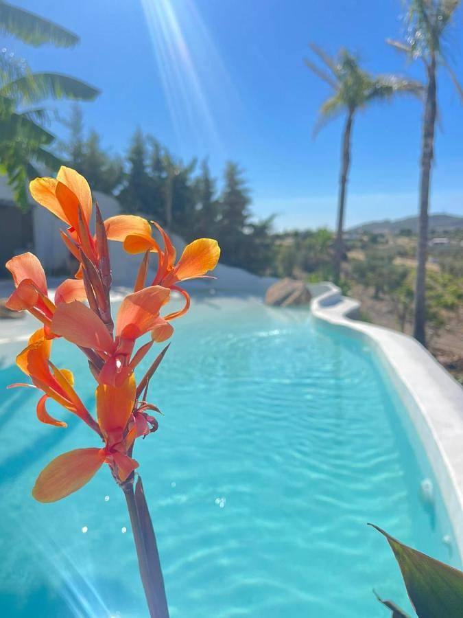 Chalet para 2 personas, con piscina y terraza además de vistas y jardín, Se admiten mascotas en Provincia de Badajoz - 2
