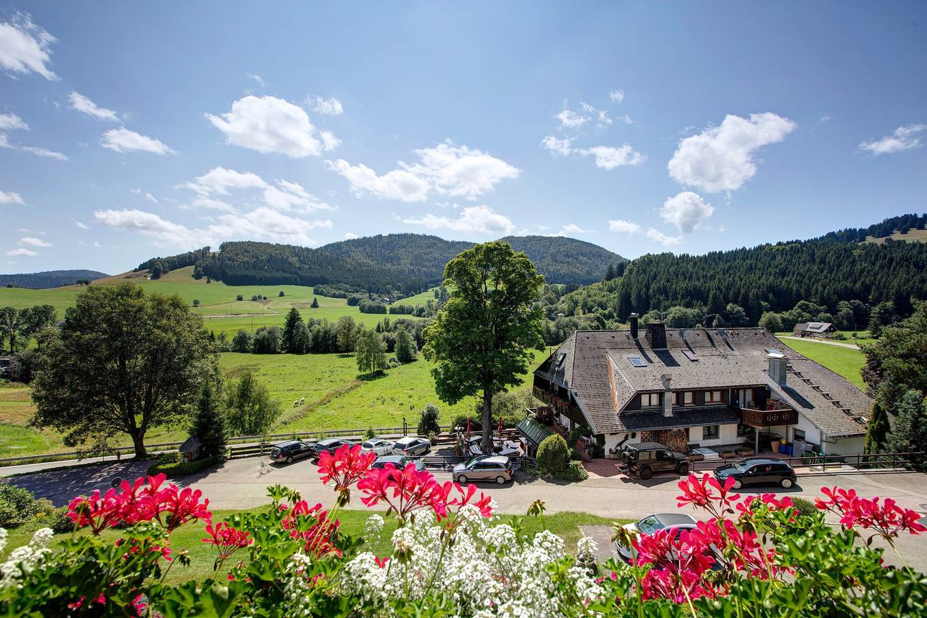 Ganze Wohnung, Ferienwohnung Fichte" mit Bergblick, Balkon und Wlan in Bernau im Schwarzwald, Südschwarzwald