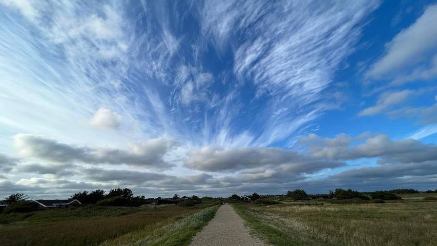 Ferienhaus für 7 Personen, mit Sauna und Whirlpool sowie Terrasse in Blavand - 4