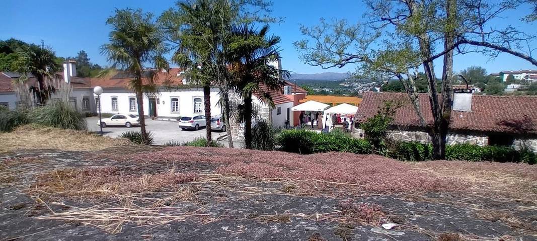 Casa de férias para 4 pessoas, com jardim e vista e ainda piscina, com animais de estimação em Viseu (Portugal)