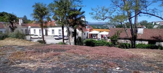 Maison d’hôte pour 4 personnes, avec piscine ainsi que vue et jardin, animaux acceptés à Viseu