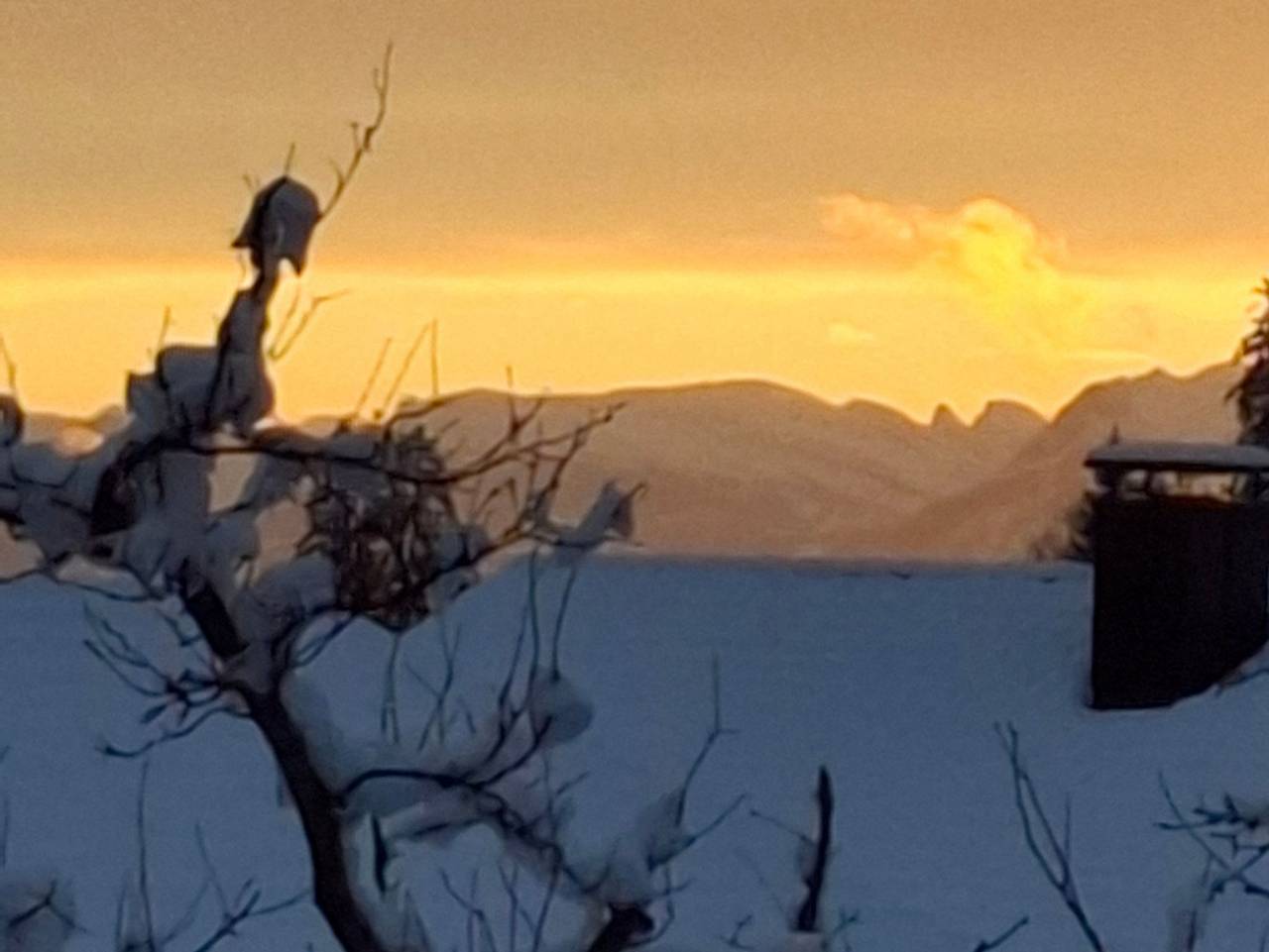 Ganze Ferienwohnung, Ferienwohnung Panorama - neue Ferienwohnung in Sulzberg (Österreich), Bodensee-Vorarlberg