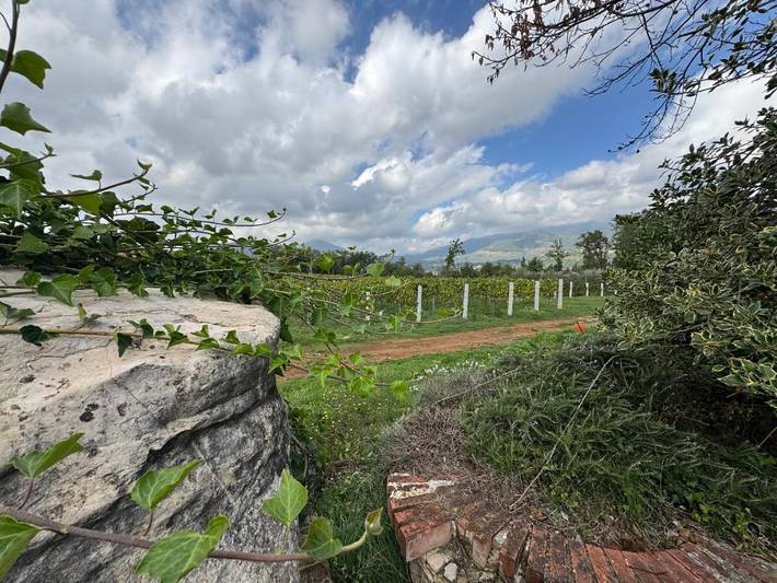 Location de vacances pour 2 personnes, avec piscine et terrasse ainsi que vue et jardin à Sezze - 4