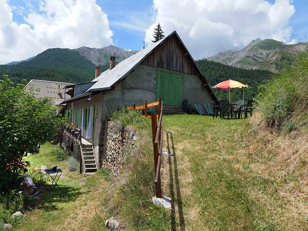 Marmotte in Allos, Région Castellane