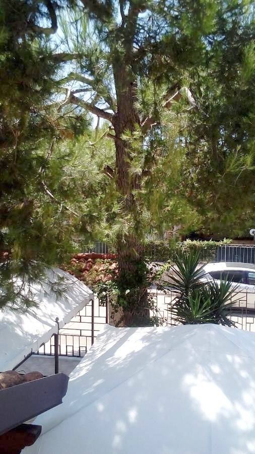Holiday Home in Spiaggia di Sant'Isidoro, Sant'Isidoro