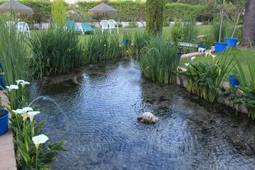 Casa Rural para 4 Personas en El Padul, Provincia de Granada, Foto 4