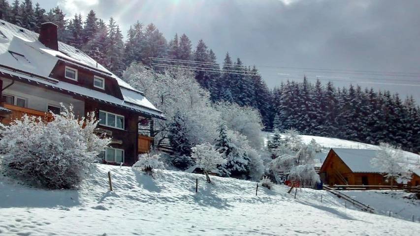 Ferienhaus für 4 Personen, mit Pool und Garten, mit Haustier in Titisee-Neustadt