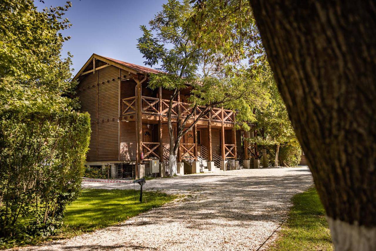 Double Room with Private Bathroom in Budapest, Danube-Ipoly National Park
