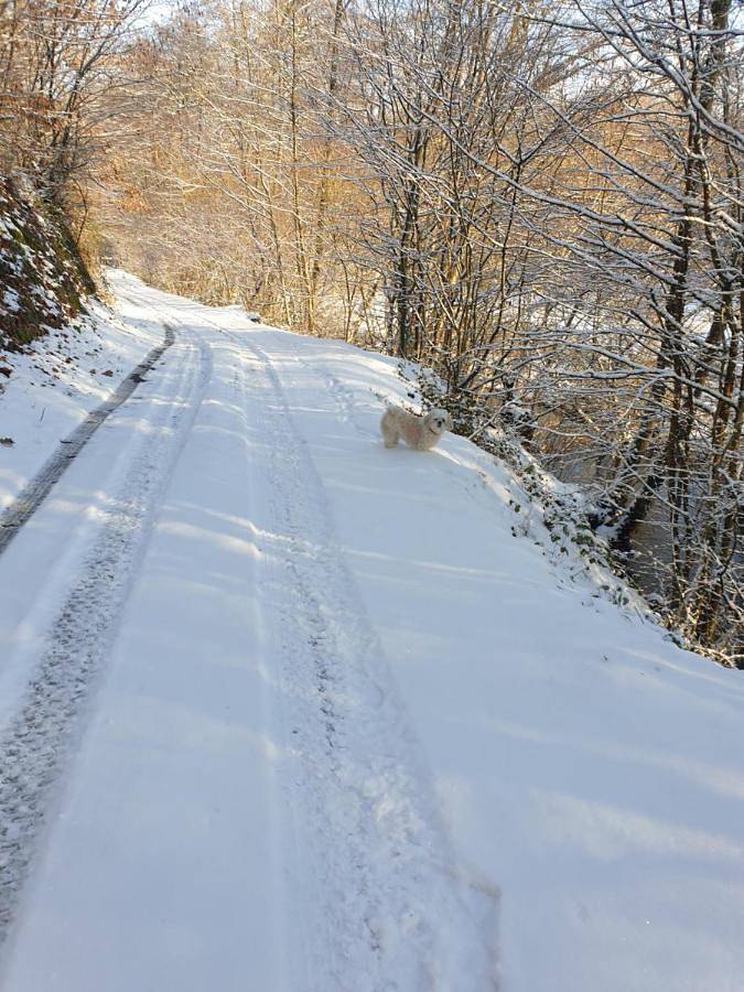 Gîte pour 2 personnes, avec vue ainsi que vue sur le lac et jardin, animaux acceptés dans Parc naturel régional des Ardennes - 3