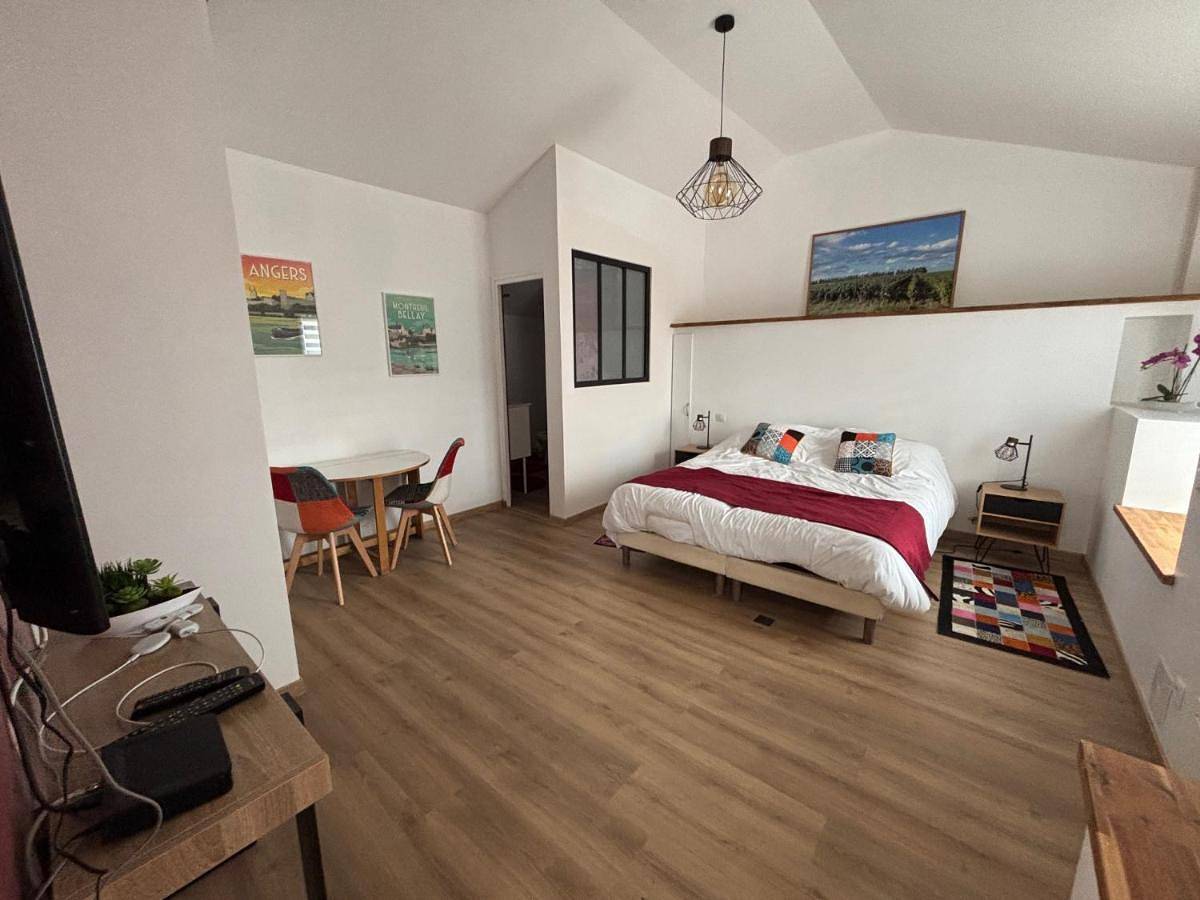 Appartement entier, Studio 2 personnes in Les Verchers-sur-Layon, Vallée de la Loire