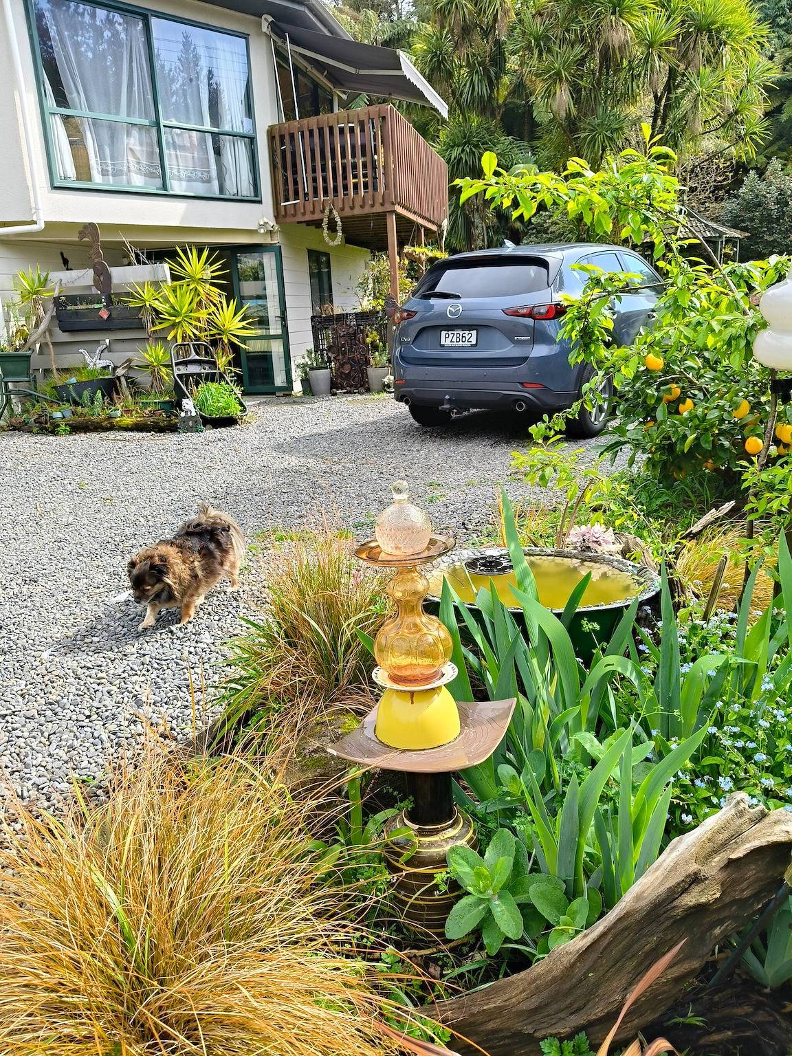 Escape to Tranquility in Rotorua's Heart in Bay of Plenty