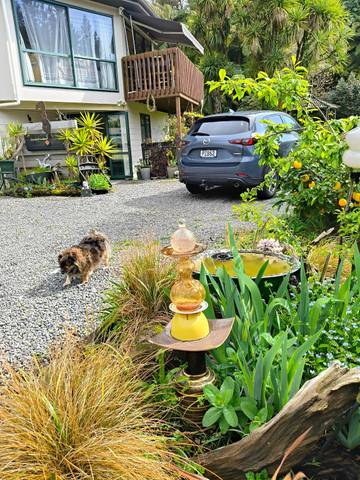Bed And Breakfast for 4 People in Bay of Plenty, New Zealand, Photo 2
