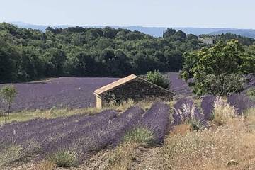Agriturismo für 2 Personen, mit Garten in der Provence