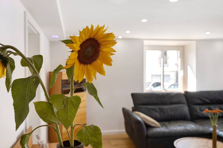 Appartement entier, Appartement "Am Hochrhein Desko" avec jardin partagé et Wi-Fi in Gailingen am Hochrhein, Hegau
