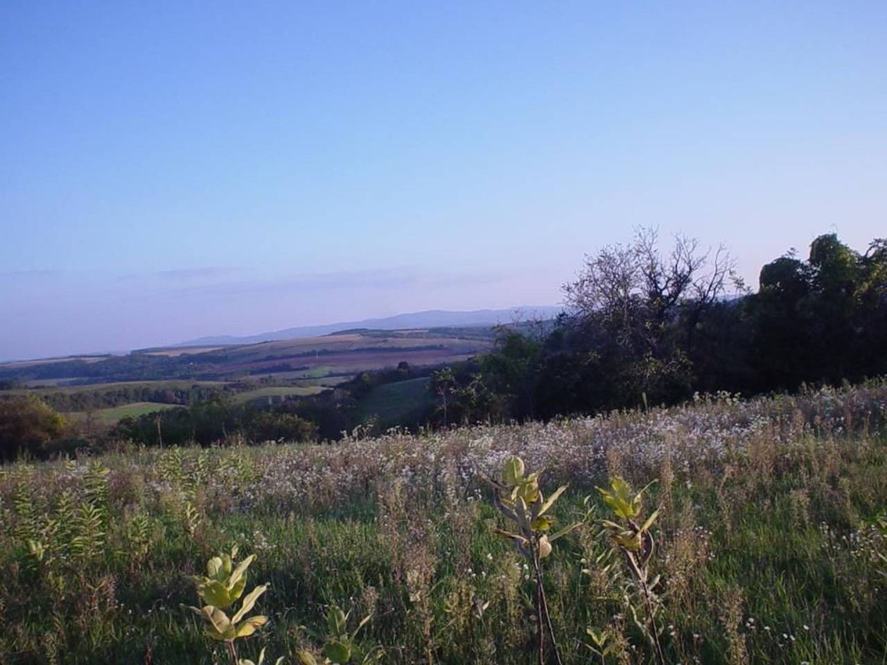 Legedi Ház in Mekényes, Kleingebiet Schaschd