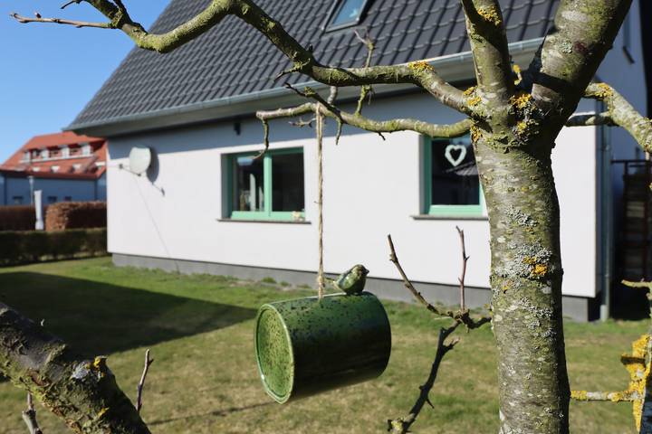 Ferienhaus für 6 Personen, mit Terrasse in Dierhagen - 3