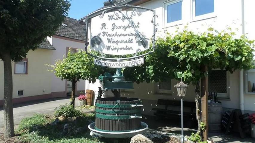 Gîte pour 4 personnes, avec jardin dans Oberemmel - 2