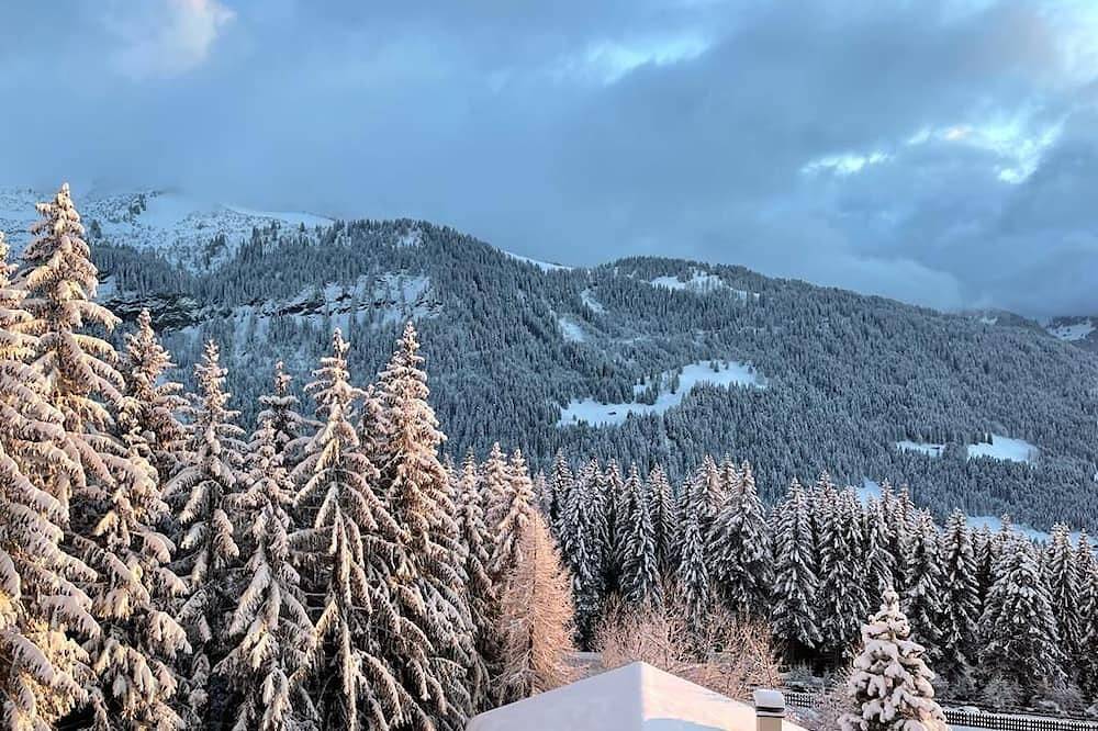 Appartement entier, Appartement duplex dans chalet à la montagne in Gryon, Alpes Vaudoises