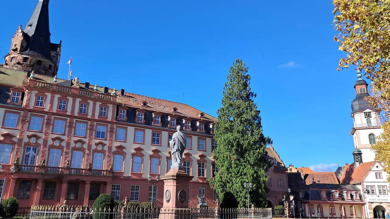 Ganze Ferienwohnung, Ferienwohnung für 3 Personen (56 m²) in Erbach in Erbach im Odenwald, Main-Odenwald