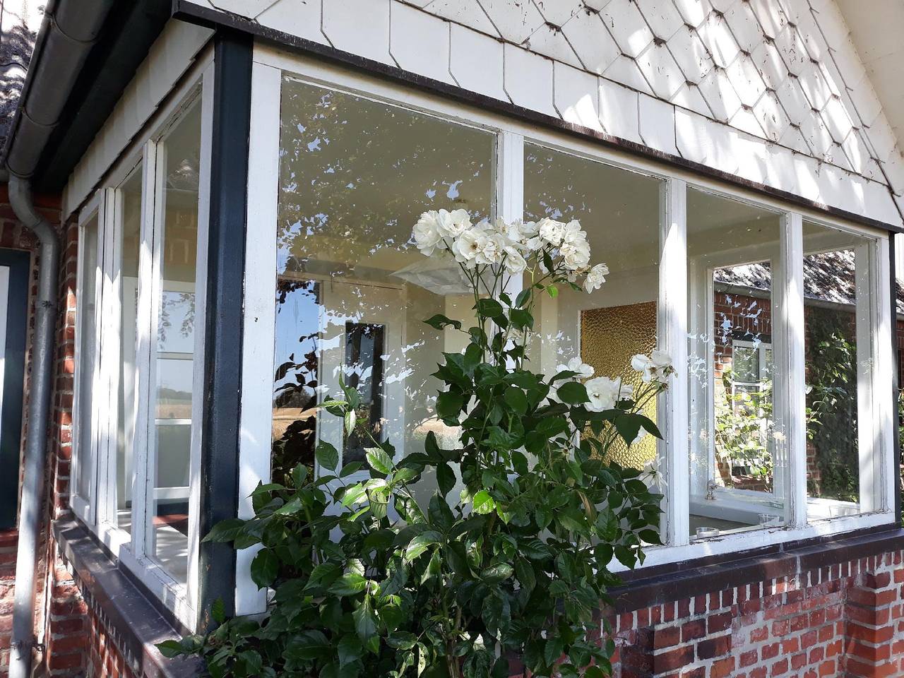 Ferienhaus Vogelsang in Stoltebüll in Stoltebüll, Kappeln & Umgebung