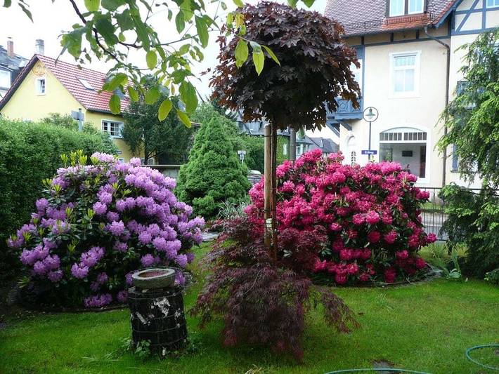 Ferienhaus für 2 Personen, mit Garten in Loschwitz