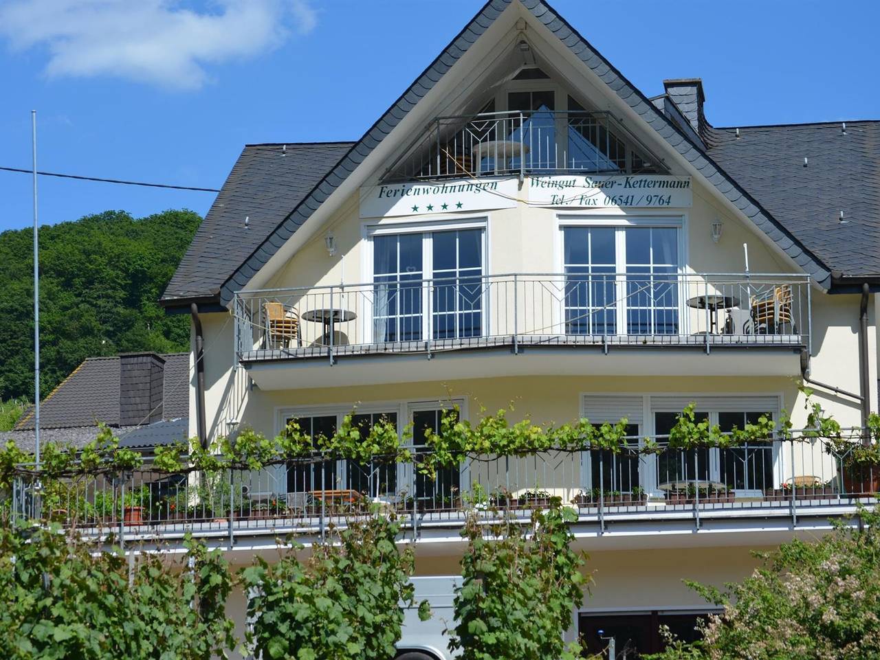 Ganze Ferienwohnung, Weingut-Fewo Sauer-Kettermann in Enkirch, Bernkastel-Kues & Umgebung