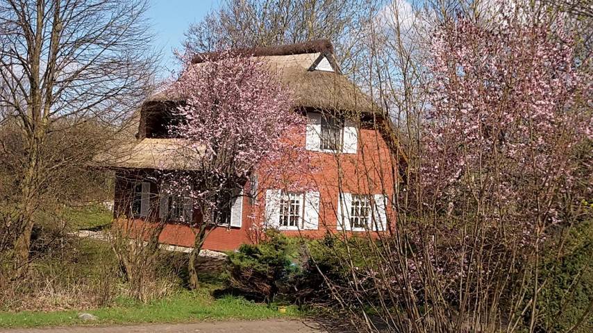 Ferienhaus für 5 Personen, mit Terrasse und Garten, mit Haustier in Poseritz - 2