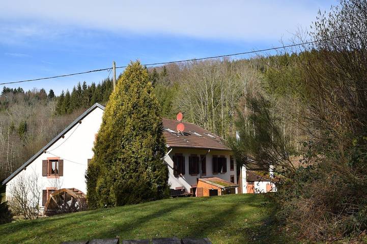 Gîte pour 3 personnes, avec piscine à Ban-de-Sapt - 4