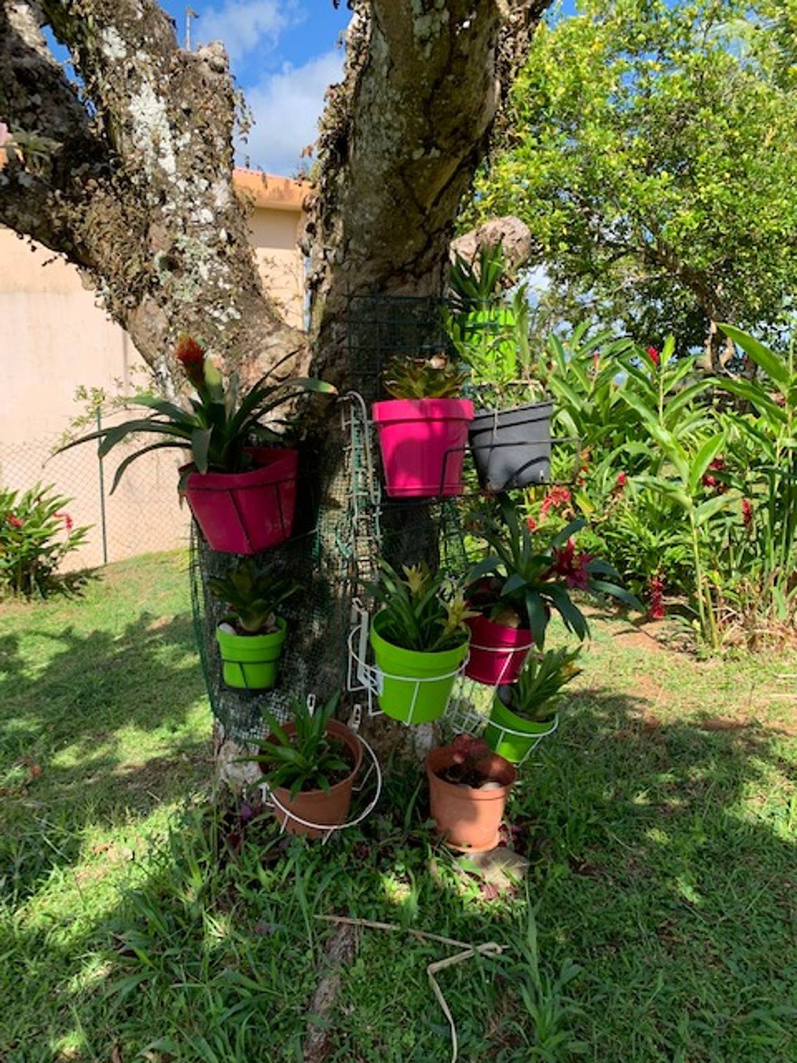 Ganze Wohnung, Charmante Wohnung in Rivière-Salée, 45 m² mit privater Terrasse in Rivière-Salée, Martinique