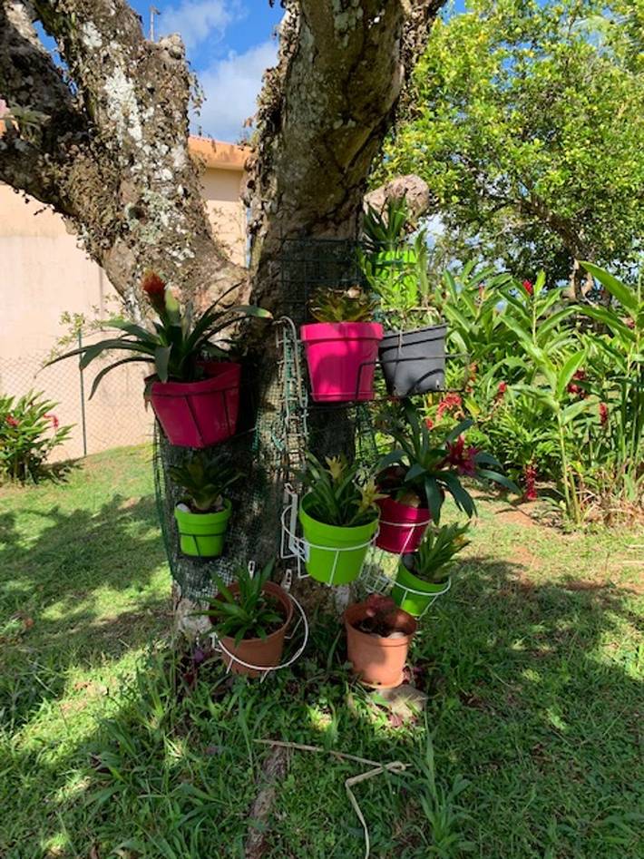 Gîte pour 2 personnes, avec terrasse à Rivière-Salée - 4