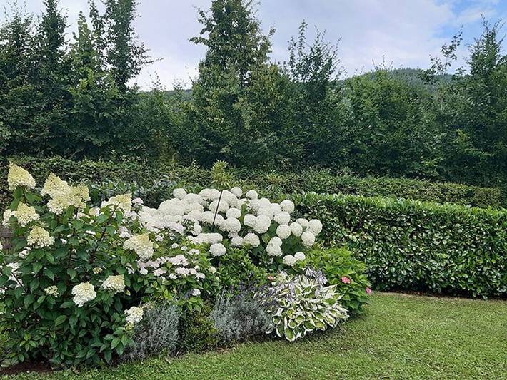 Ferienwohnung für 4 Personen, mit Seeblick und Garten sowie Ausblick in Mondsee (Stadt) - 4