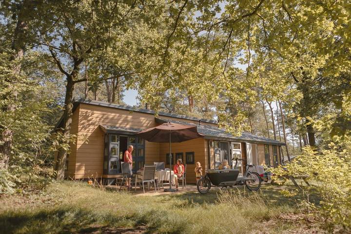 Vakantiehuis voor 4 personen, met terras en tuin in Lemele