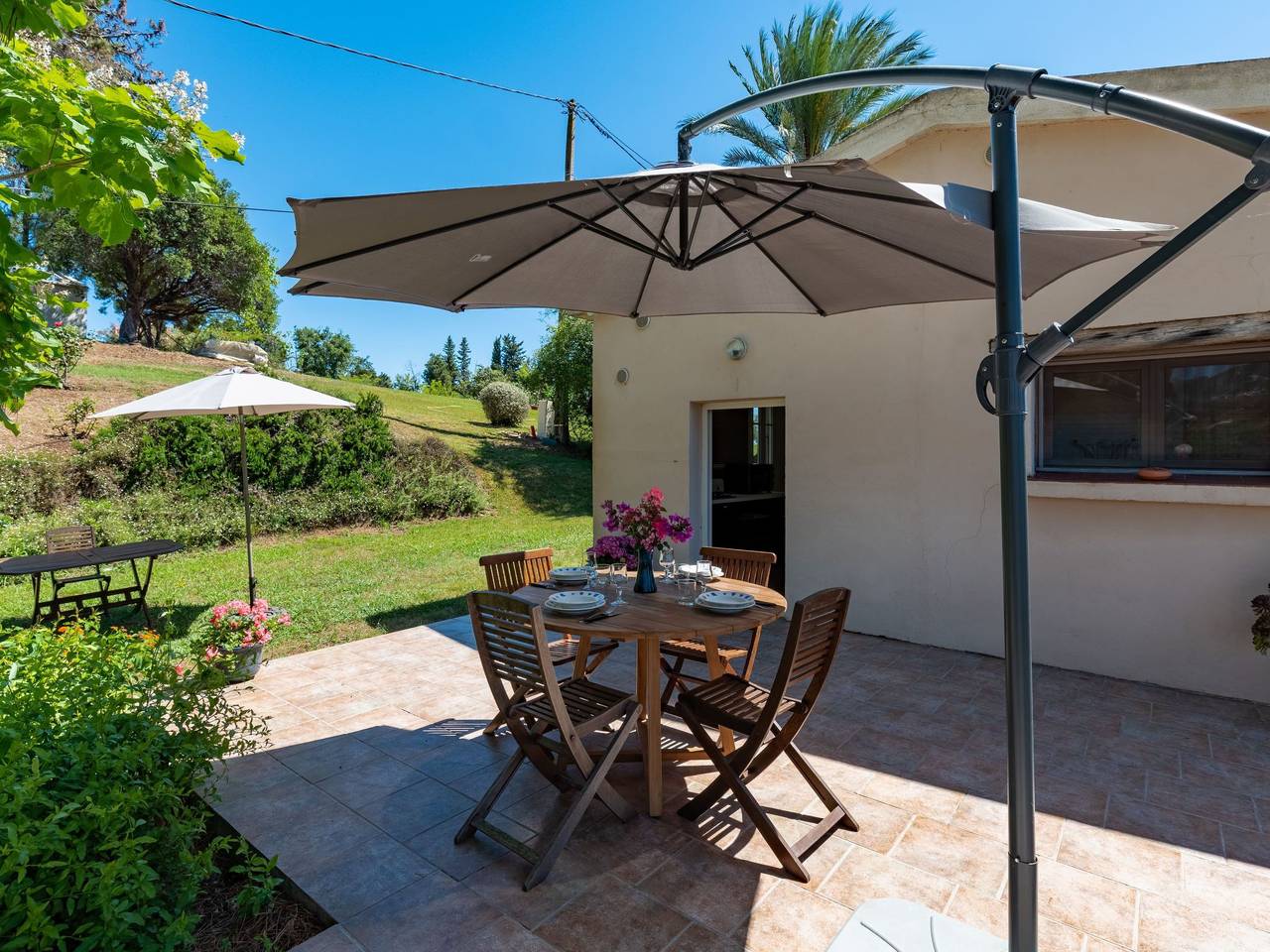 Weingut Punta della guardia zwischen Meer und Gebirge in Cervione, Región de Corte