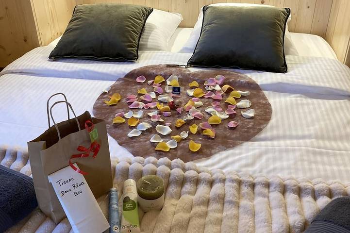 Gîte pour 5 personnes, avec piscine et jacuzzi à Villarzel-du-Razès - 4