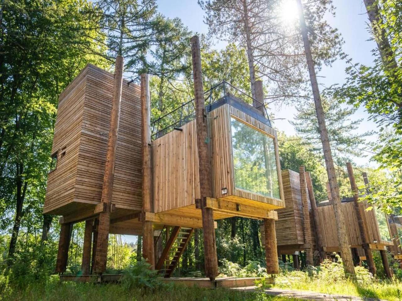 Baumhaus in Tournai mit Sauna und Waldblick in Hennegau