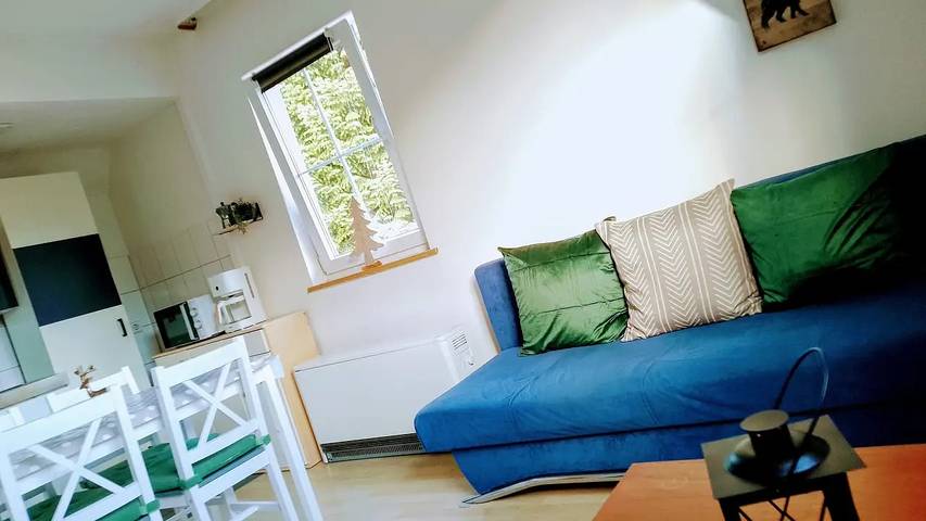 Hütte für 4 Personen, mit Terrasse in Baiersbronn
