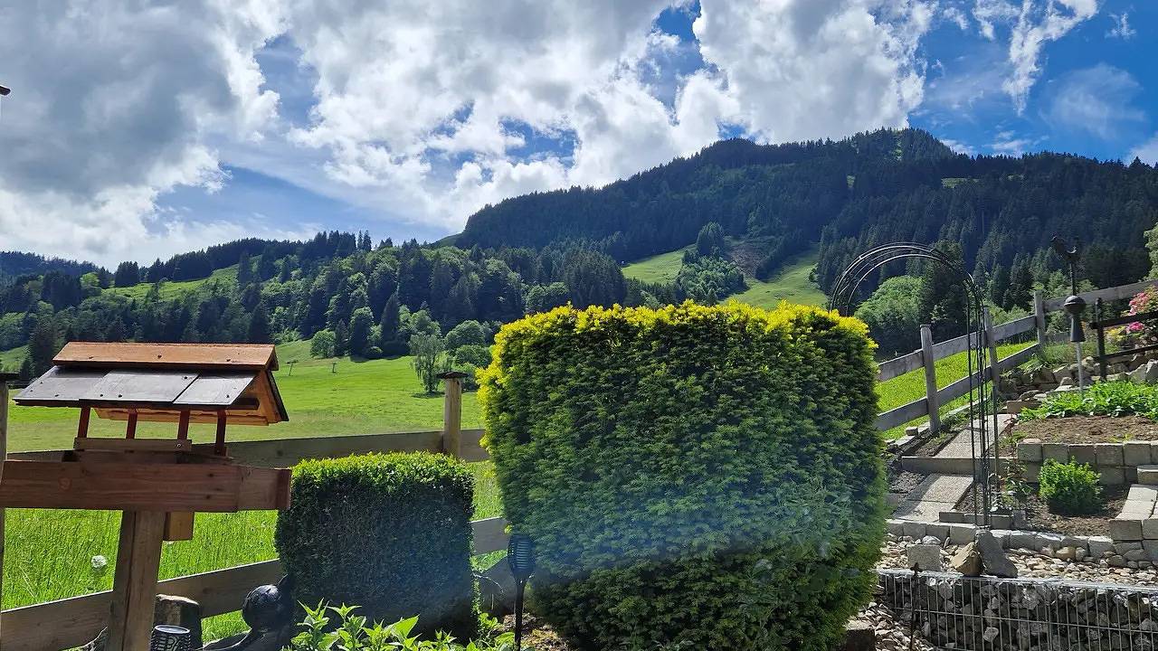 Ganze Ferienwohnung, Ferienwohnung für 2 Personen (28 m²) in Bolsterlang in Bolsterlang, Bayerisch Schwaben
