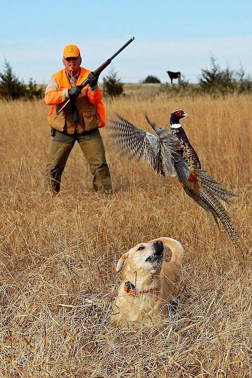 Lodge for 10 people in Kansas