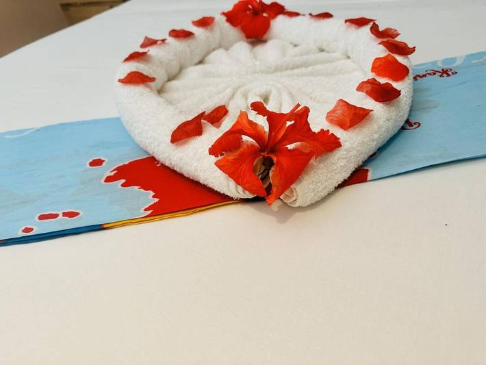 Maison d’hôte pour 2 personnes, avec terrasse et jardin dans DOM-TOM - 4