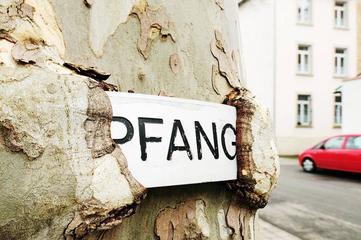 Hôtel pour 3 personnes, avec jardin et terrasse à Rastatt - 4