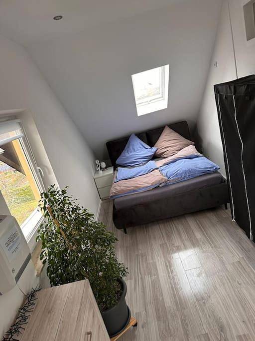 Ferienwohnung für 6 Personen, mit Garten und Ausblick in Litzendorf