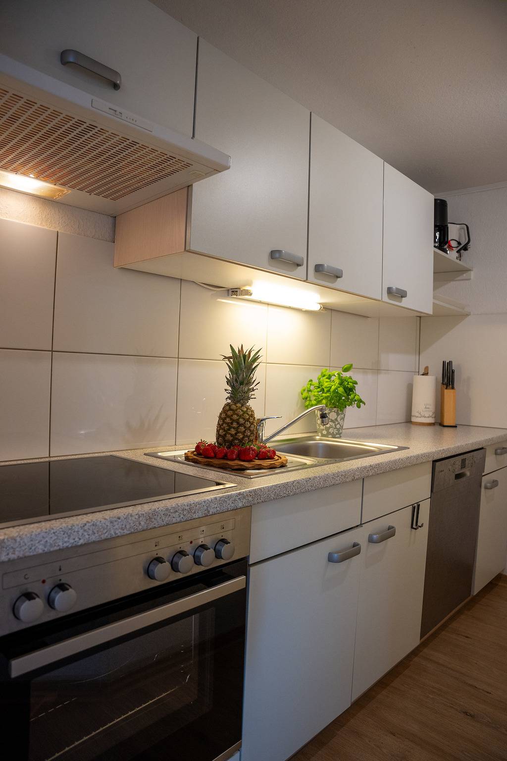 Ganze Ferienwohnung, Ferienhof Kruse Wohnung 10 in Lenste, Grömitz