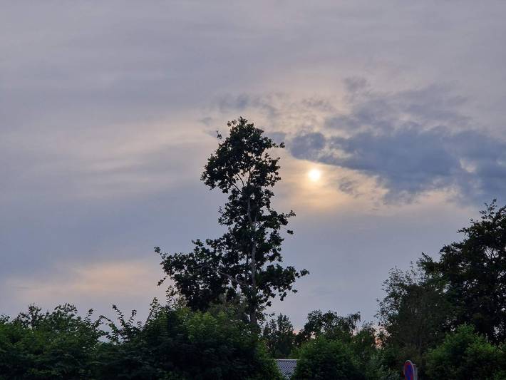 Ferienhaus für 12 Personen, mit Pool und Whirlpool sowie Sauna, kinderfreundlich in Djursland - 4