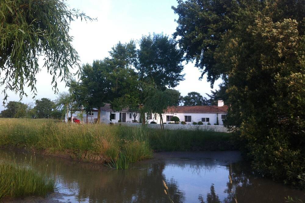 La magia de las marismas y el mar in Bois-de-Céné, Vandea