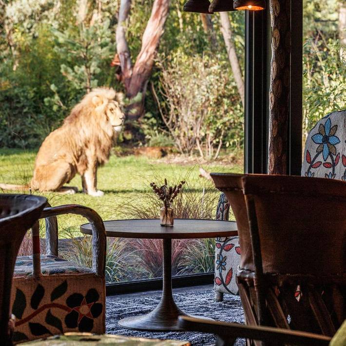 Hôtel pour 5 personnes, avec jardin ainsi que vue et terrasse à La Flèche - 2